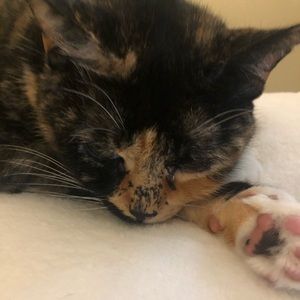 Meet your Posher, Jen